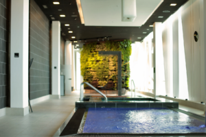 Read more about the article The Importance of Quality Spa Design Plans